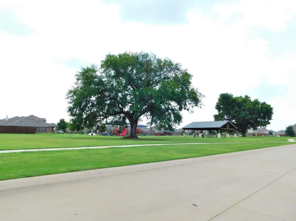 8913 Eastwood Avenue Cross Roads, TX 76227