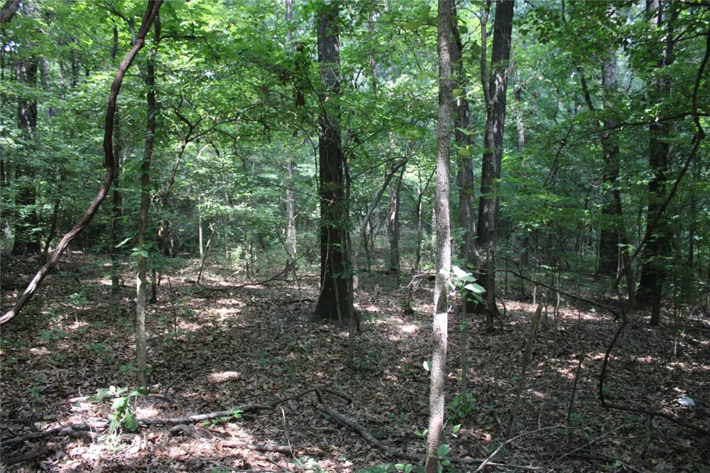 S 680 ROAD Grove, OK 74344