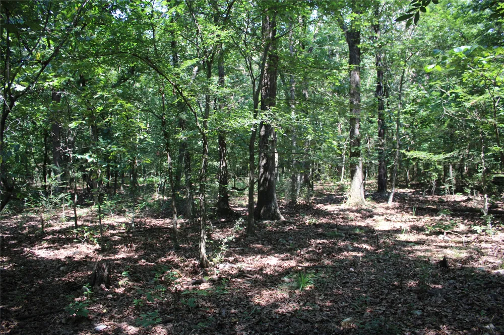 S 680 ROAD Grove, OK 74344