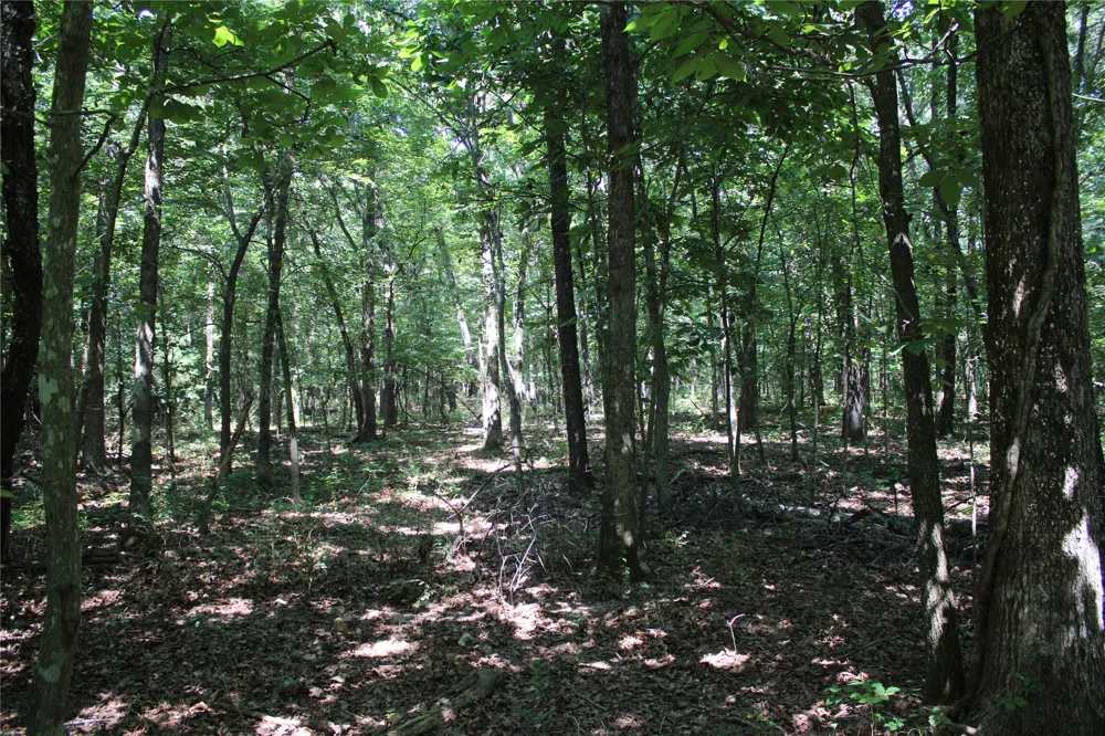S 680 ROAD Grove, OK 74344