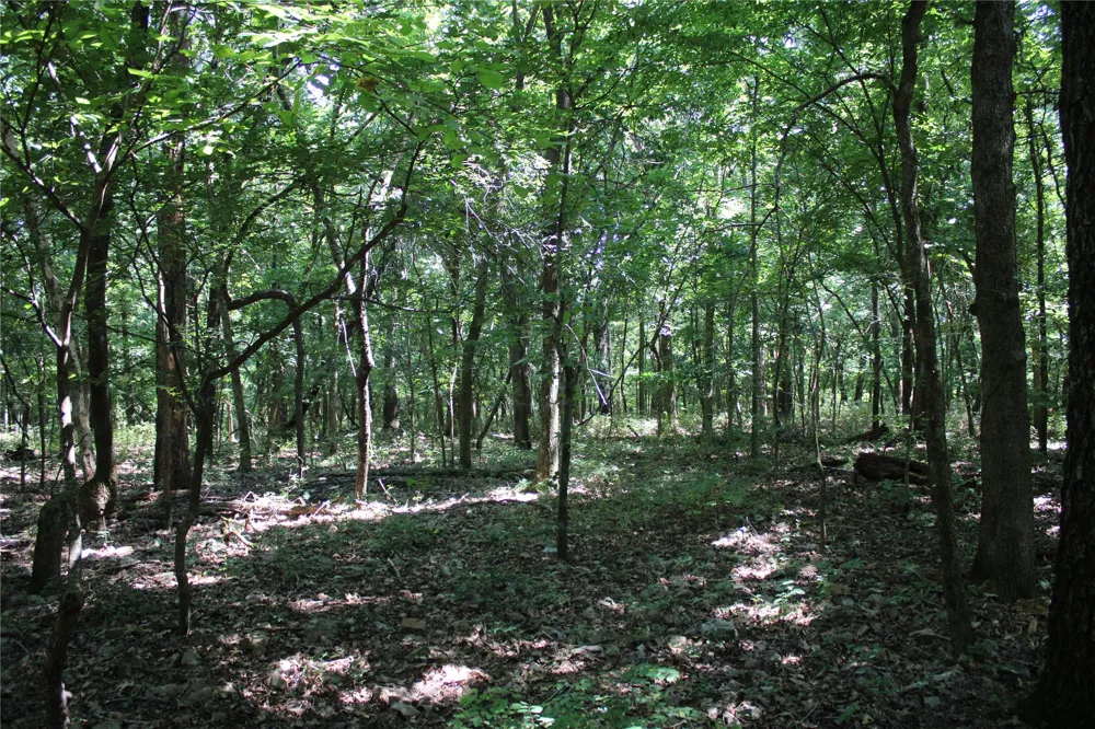 S 680 ROAD Grove, OK 74344