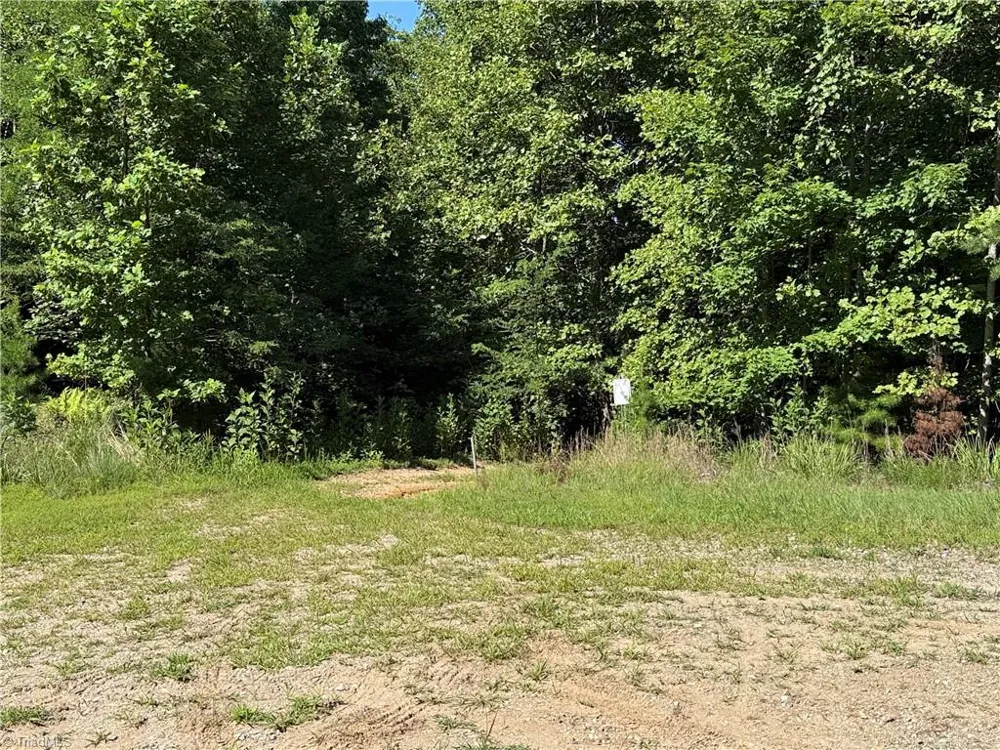 Lot 222 Casey Mountain Road Purlear, NC 28665