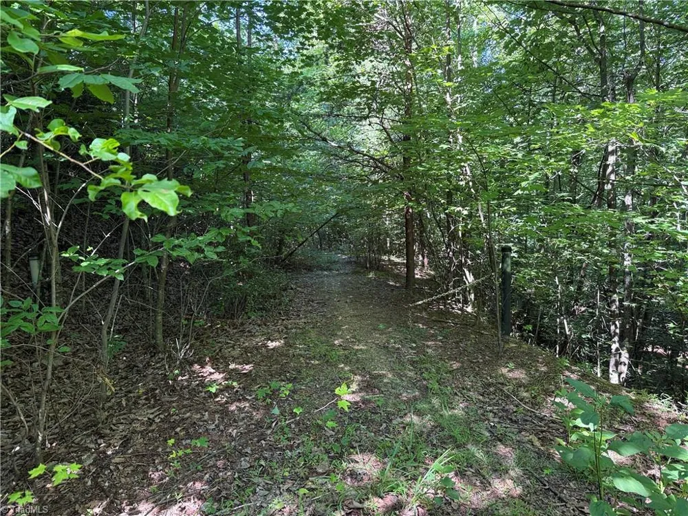 Lot 222 Casey Mountain Road Purlear, NC 28665