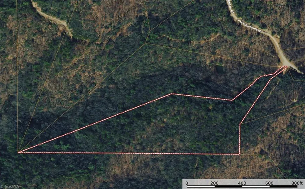 Lot 222 Casey Mountain Road Purlear, NC 28665