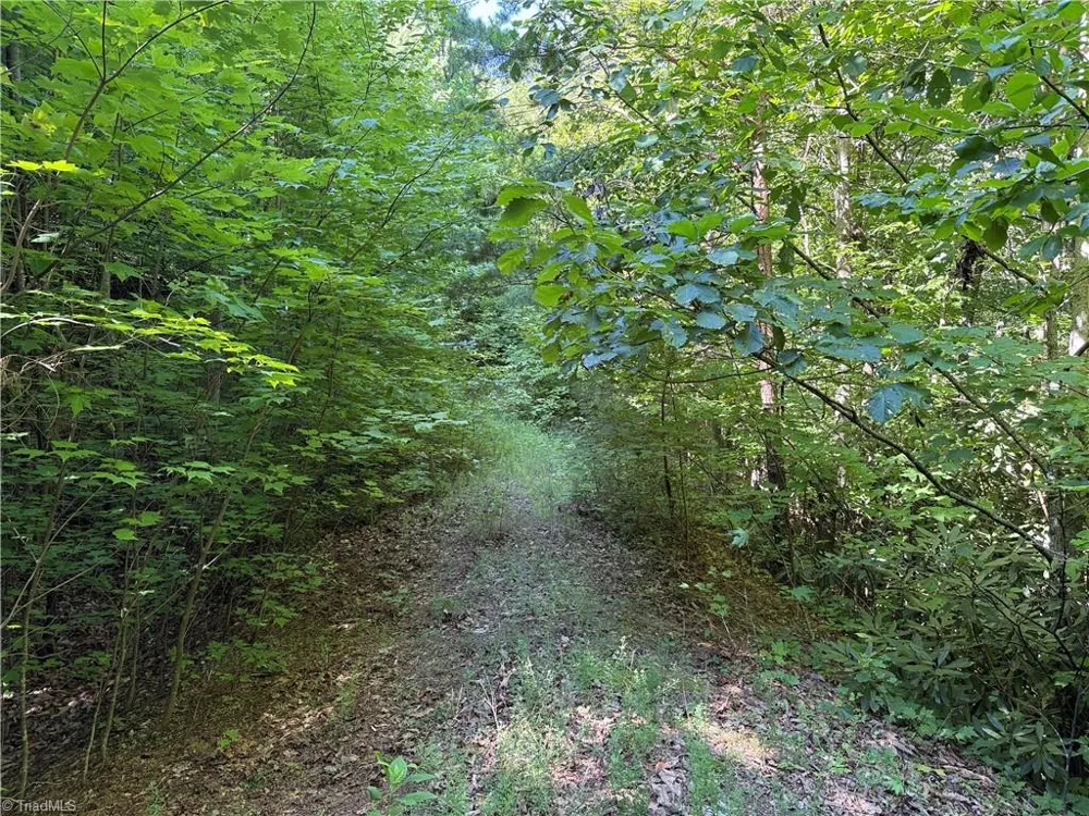 Lot 222 Casey Mountain Road Purlear, NC 28665