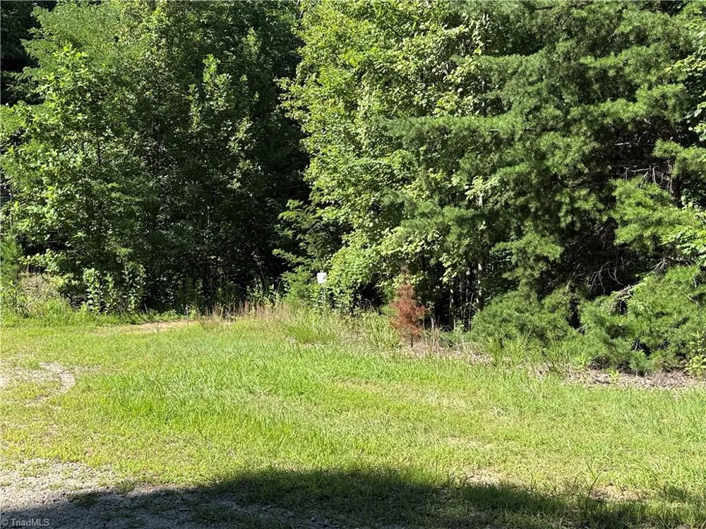 Lot 222 Casey Mountain Road Purlear, NC 28665
