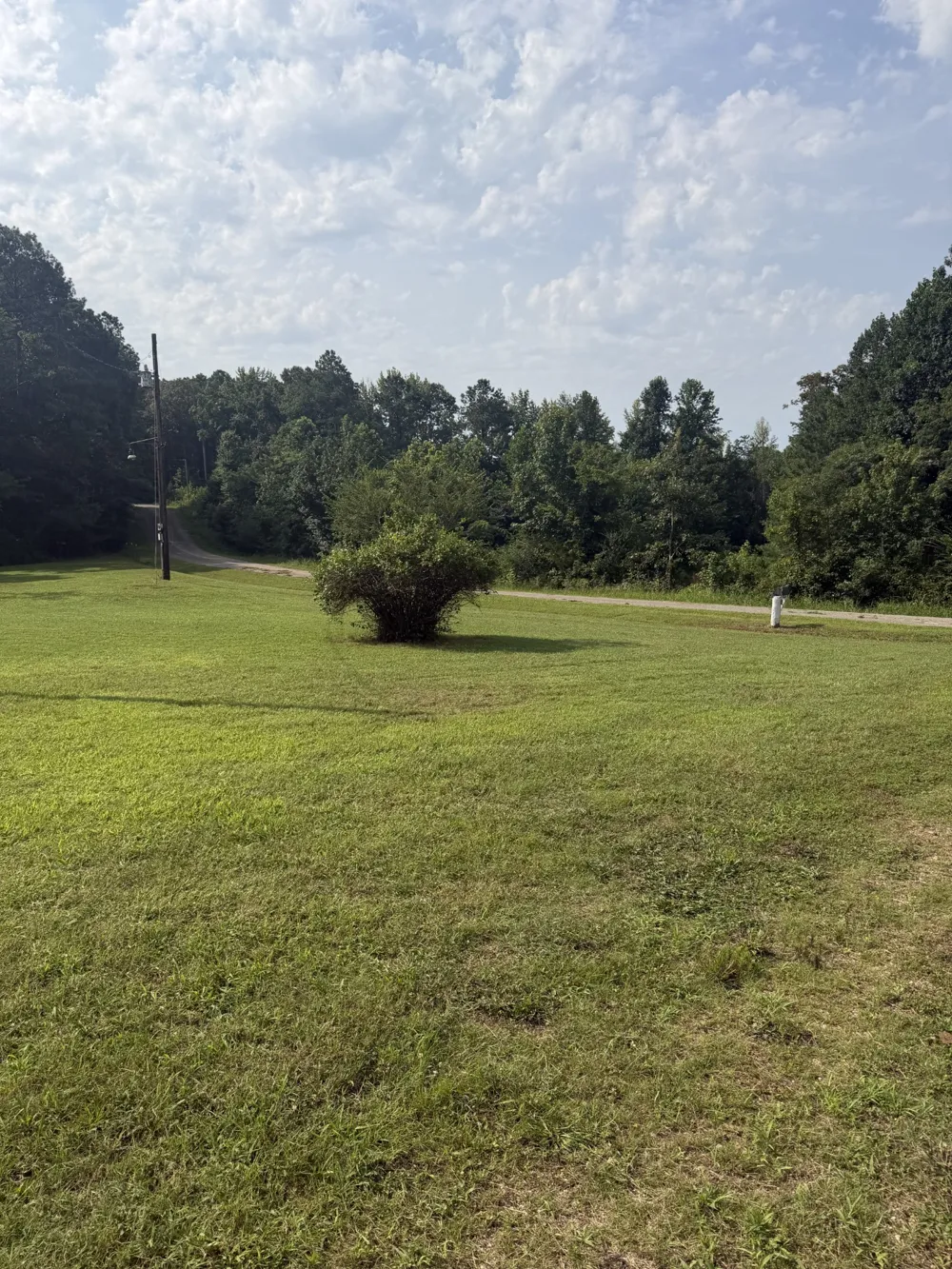 1756 Crazy Doe Rd Lexington, TN 38351