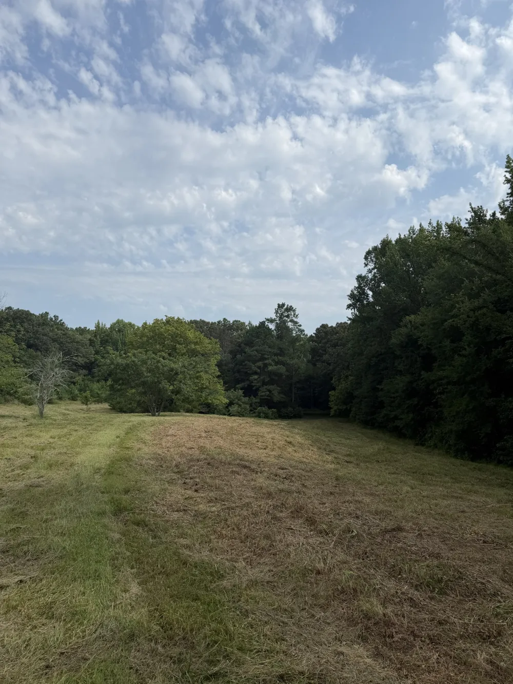 1756 Crazy Doe Rd Lexington, TN 38351