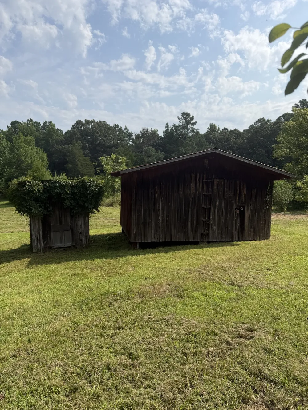 1756 Crazy Doe Rd Lexington, TN 38351