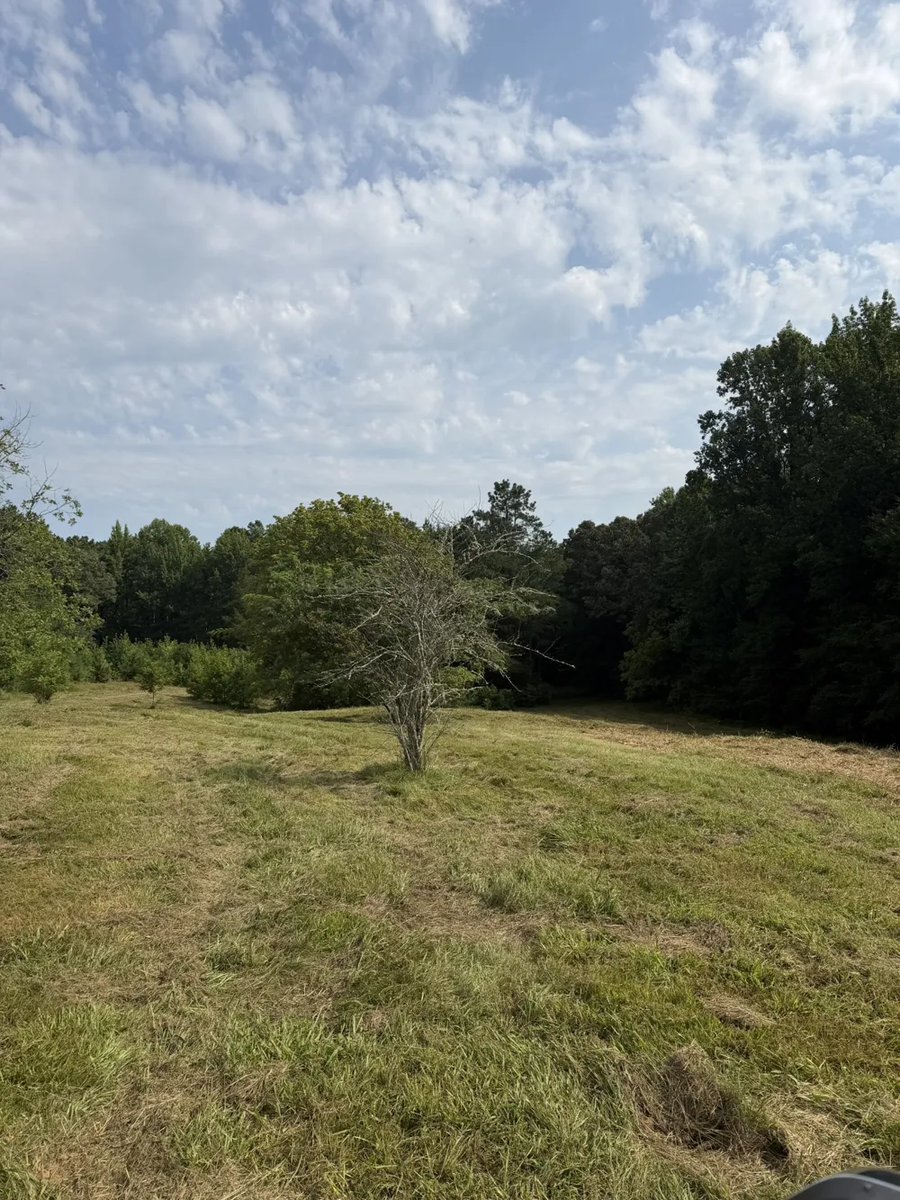 1756 Crazy Doe Rd Lexington, TN 38351