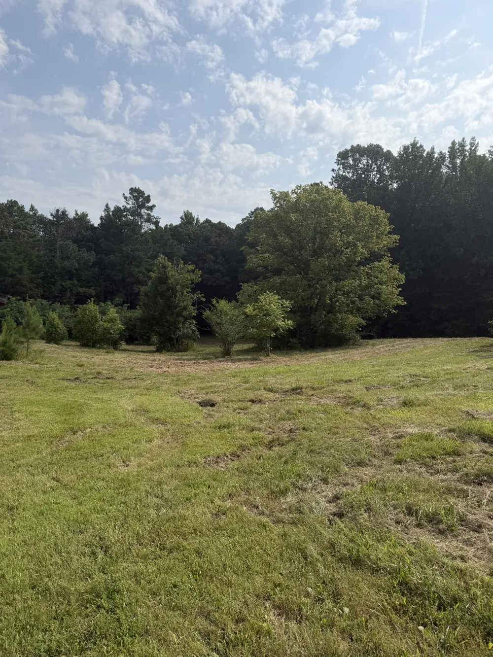 1756 Crazy Doe Rd Lexington, TN 38351