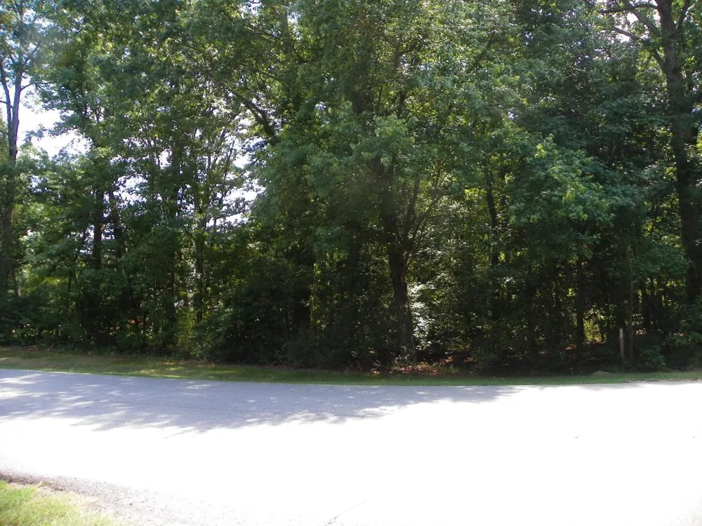 197 Pearl Bay Drive New London, NC 28127