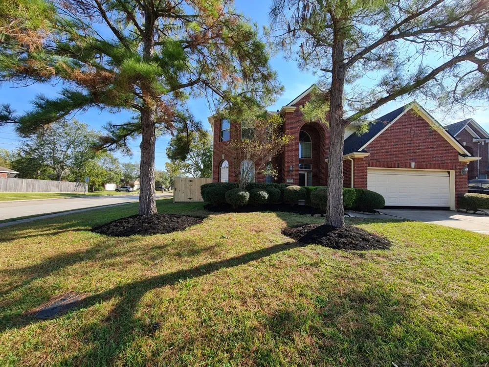 503 Nadia Way Stafford, TX 77477