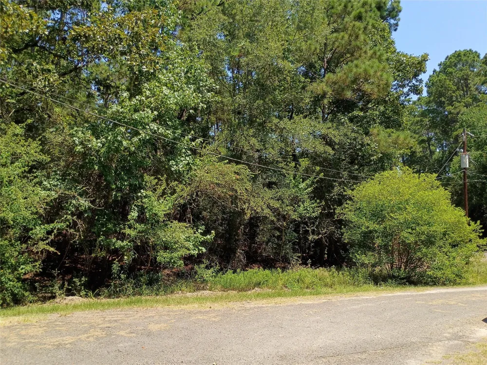 110 Pine Point Circle Onalaska, TX 77360