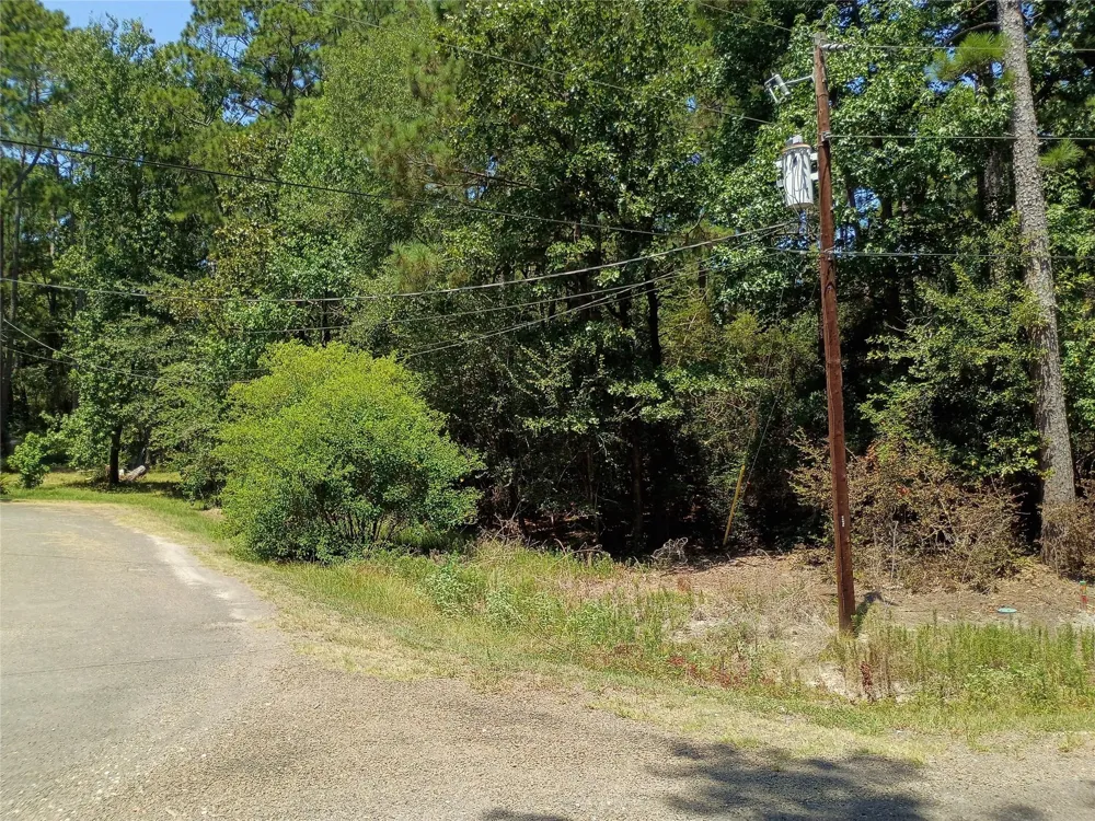 110 Pine Point Circle Onalaska, TX 77360