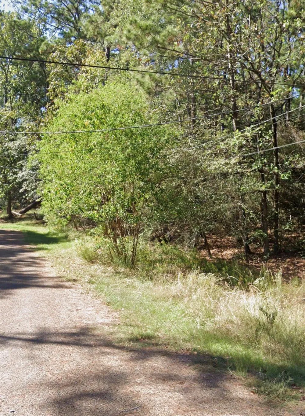 110 Pine Point Circle Onalaska, TX 77360