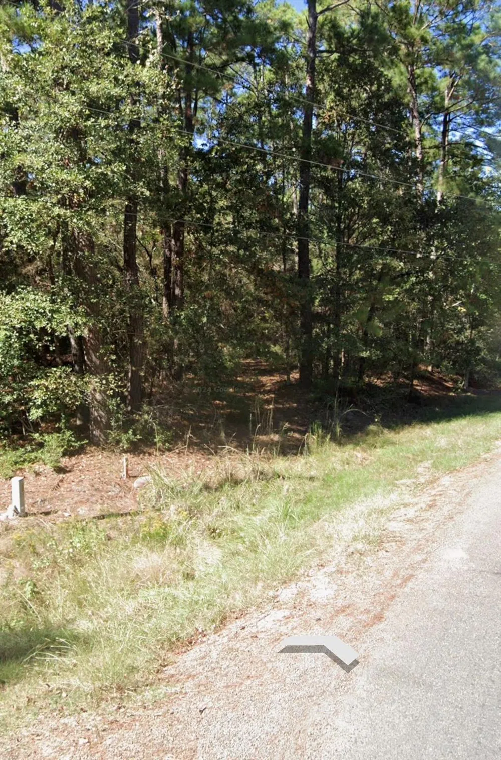 110 Pine Point Circle Onalaska, TX 77360