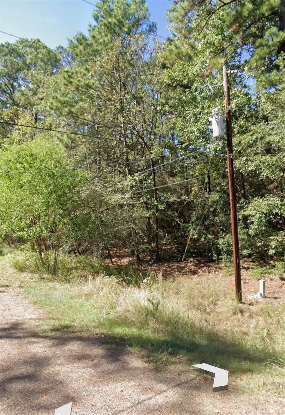 110 Pine Point Circle Onalaska, TX 77360