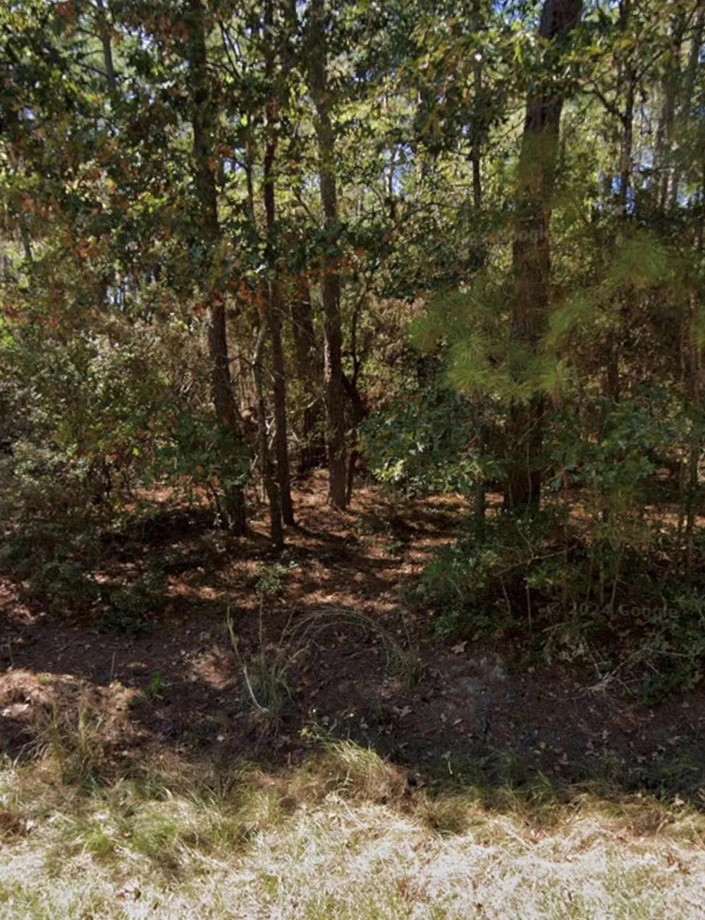110 Pine Point Circle Onalaska, TX 77360