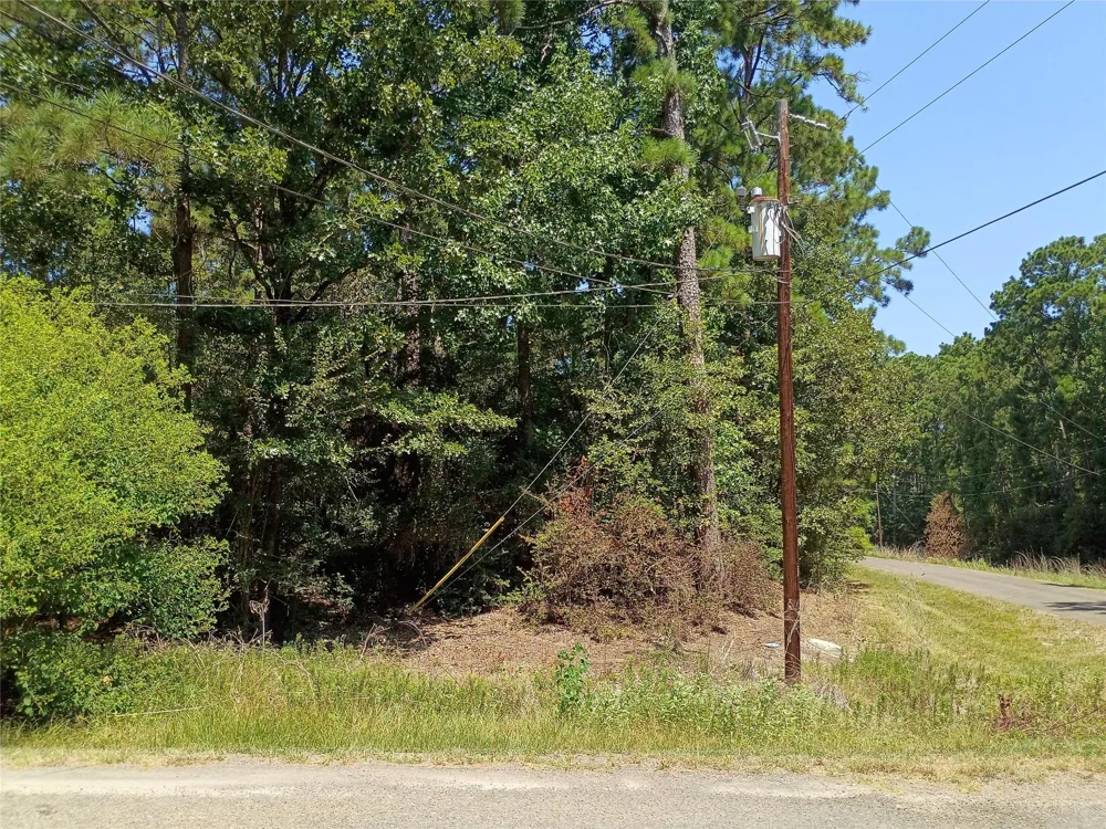 110 Pine Point Circle Onalaska, TX 77360