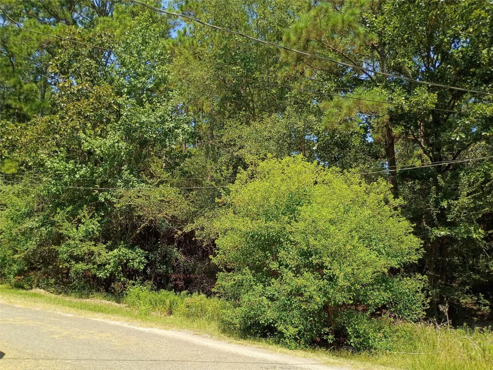 110 Pine Point Circle Onalaska, TX 77360