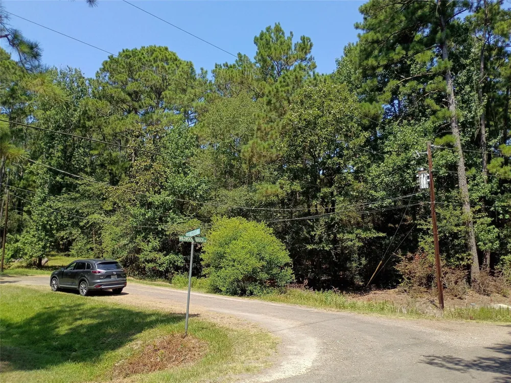 110 Pine Point Circle Onalaska, TX 77360