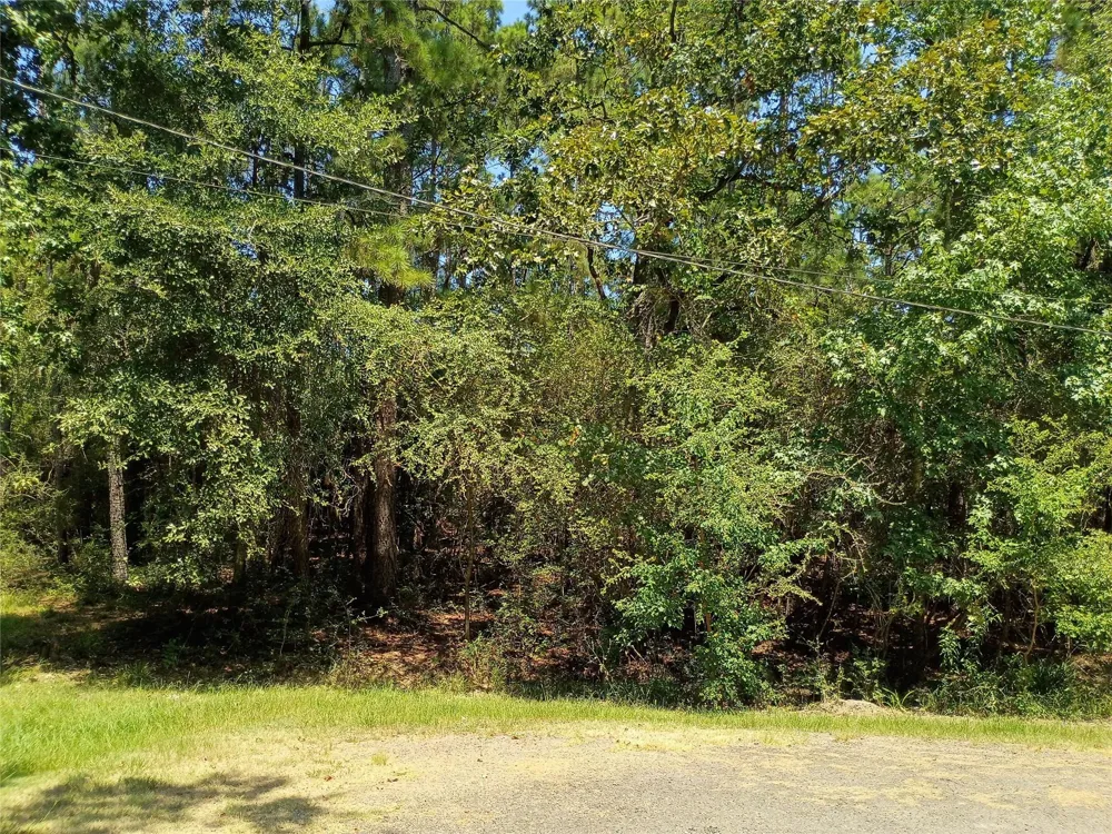 110 Pine Point Circle Onalaska, TX 77360