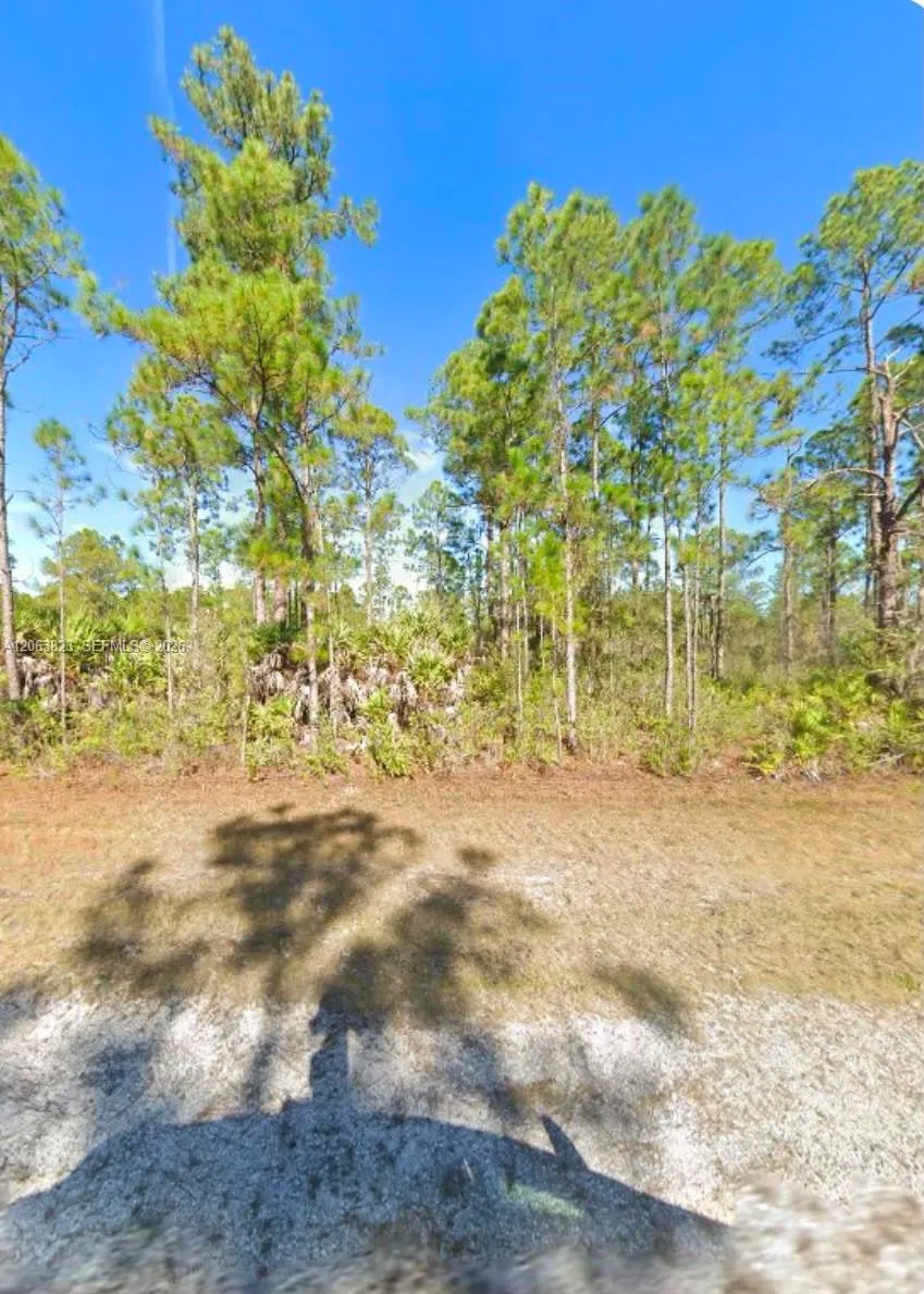 Belmonte Dr Other City - In The State Of Florida, FL 33855