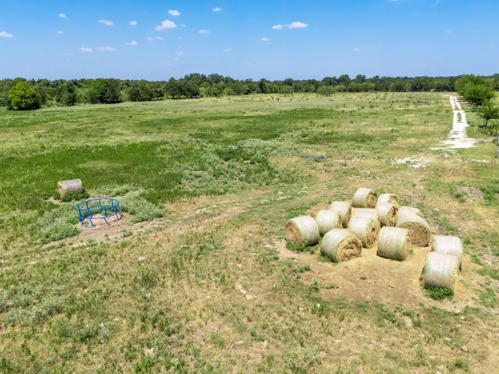 CR 217 Reagan, TX 76680
