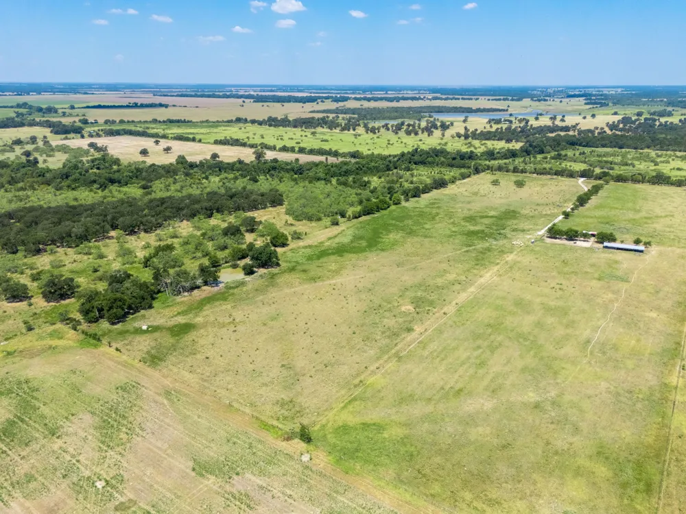 CR 217 Reagan, TX 76680