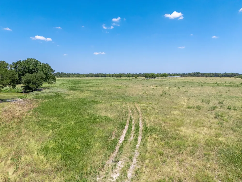 CR 217 Reagan, TX 76680