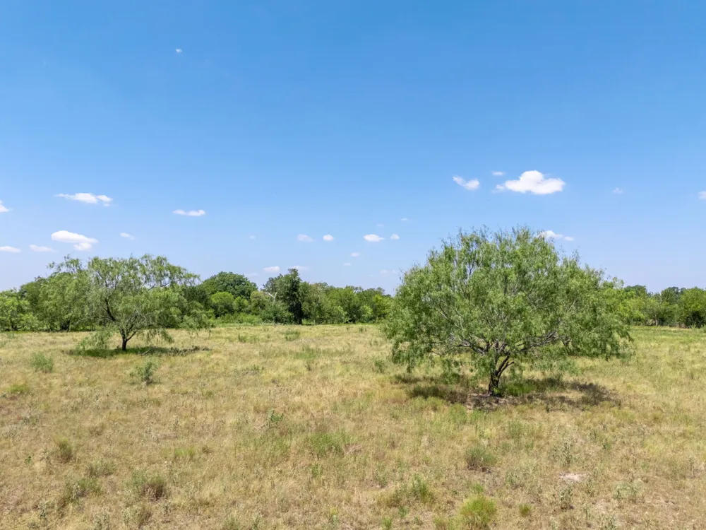CR 217 Reagan, TX 76680