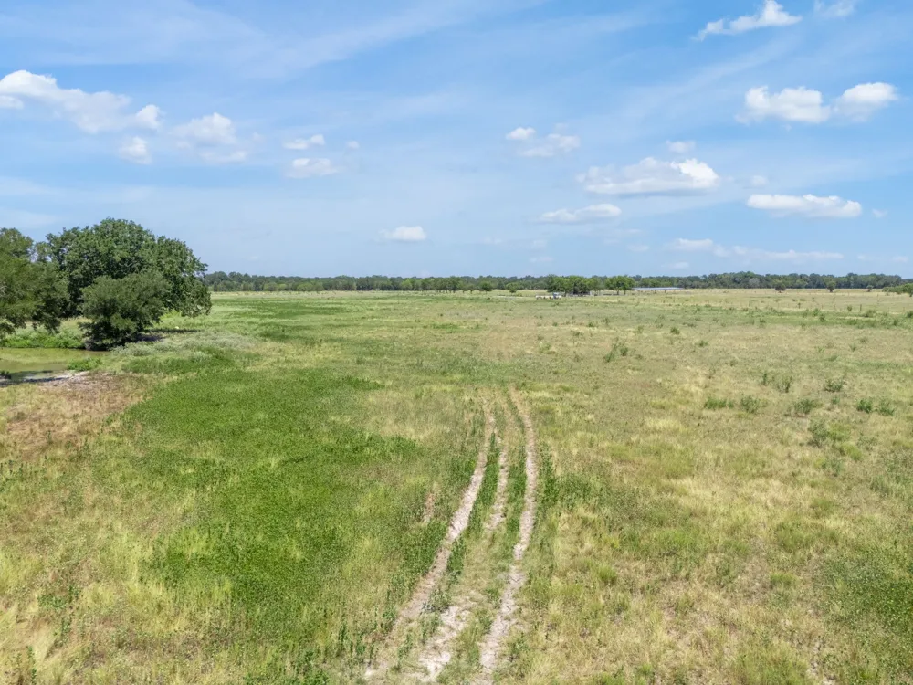CR 217 Reagan, TX 76680