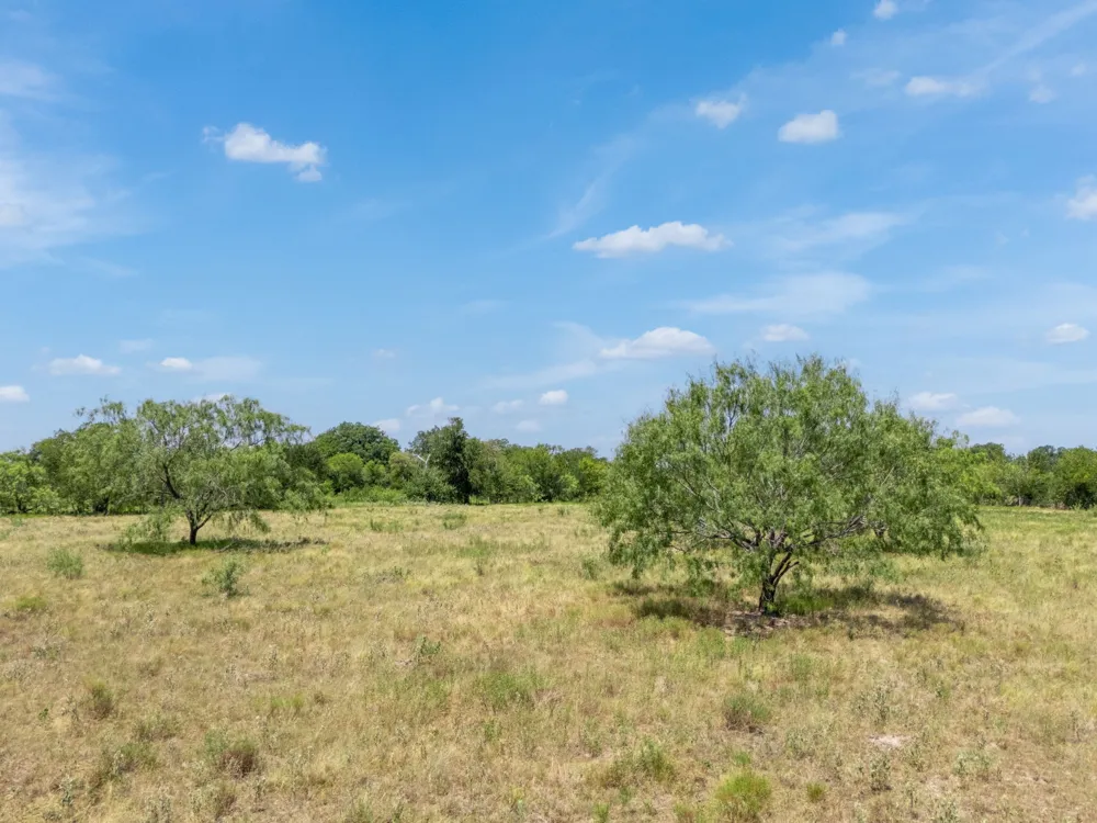 CR 217 Reagan, TX 76680