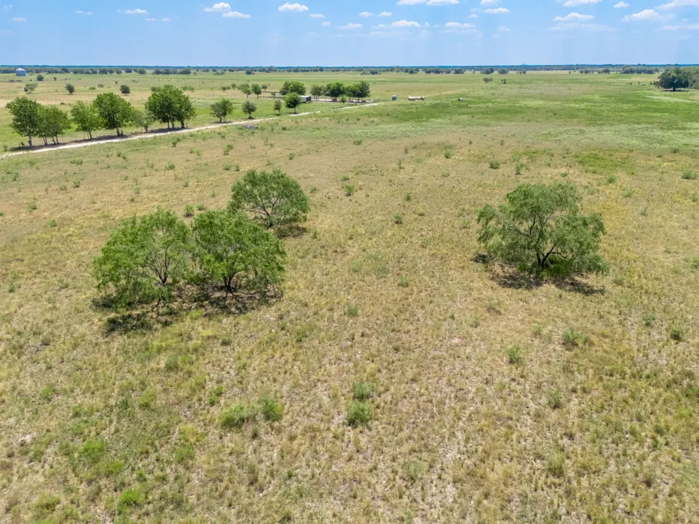 CR 217 Reagan, TX 76680
