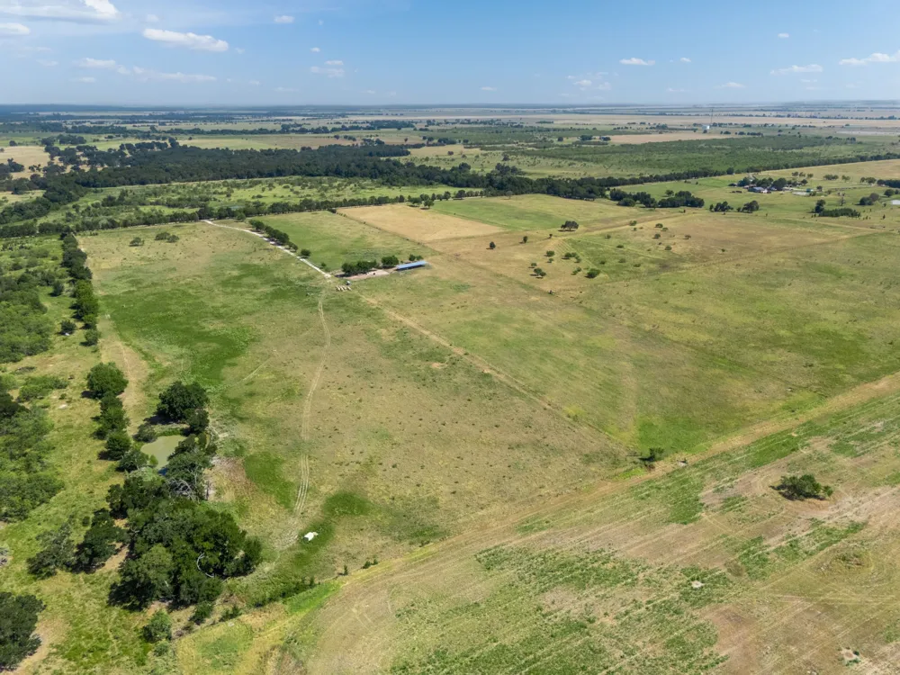CR 217 Reagan, TX 76680