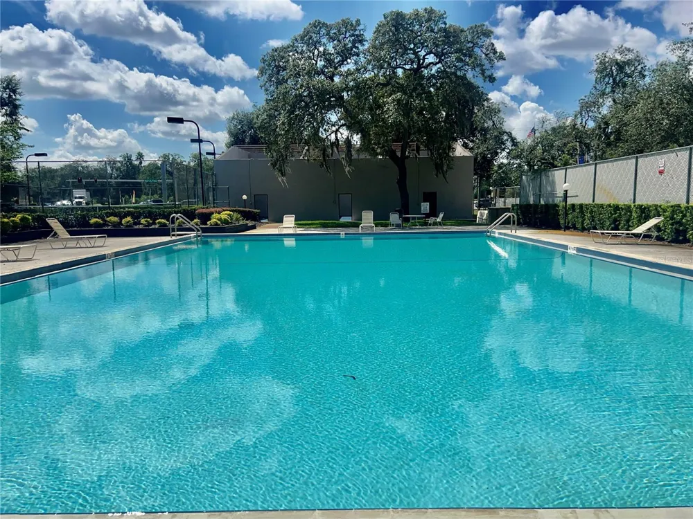 4025 ANGEL OAK COURT #203 Tampa, FL 33613
