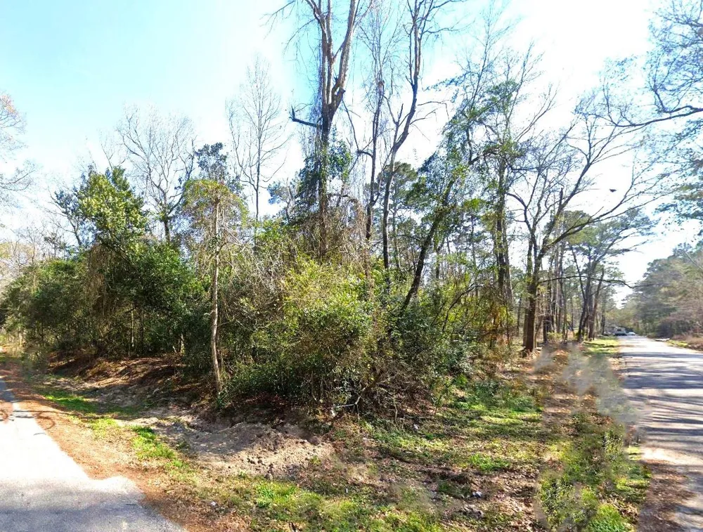 20807 Glenwood Road New Caney, TX 77357