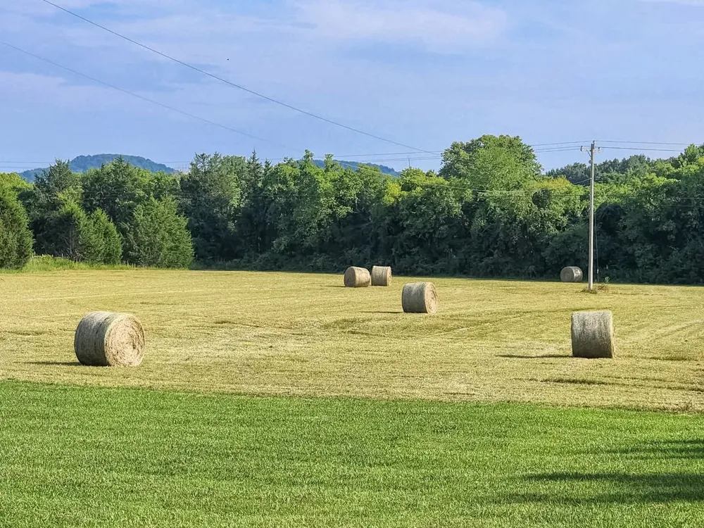 2784 Joe Reeves Rd Lewisburg, TN 37091