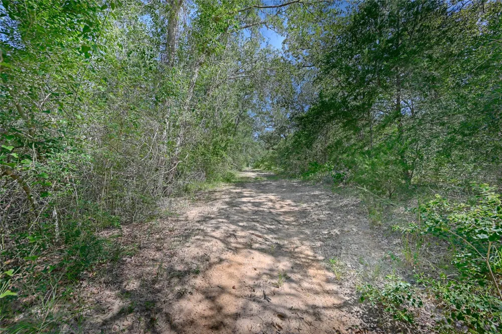 8595 Jared Road Bellville, TX 77418