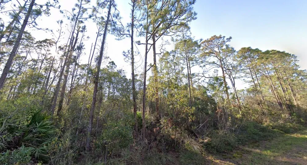 1054 ROBIN STREET Lake Placid, FL 33852