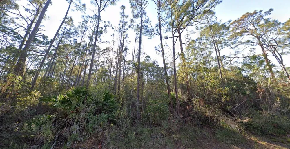 1054 ROBIN STREET Lake Placid, FL 33852