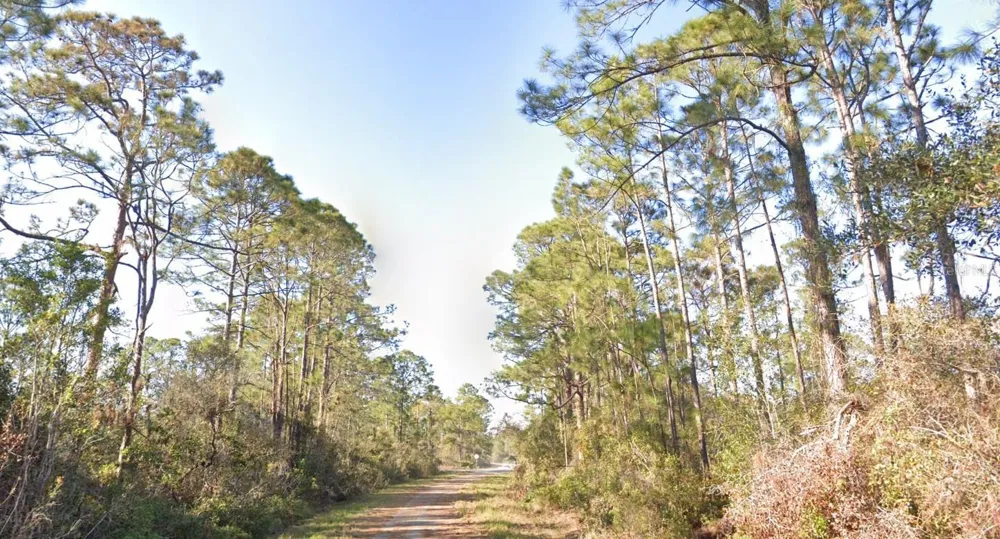 1054 ROBIN STREET Lake Placid, FL 33852