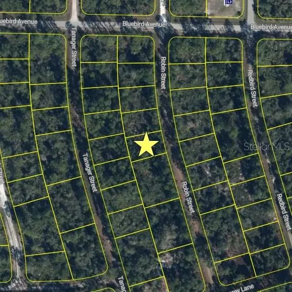 1054 ROBIN STREET Lake Placid, FL 33852