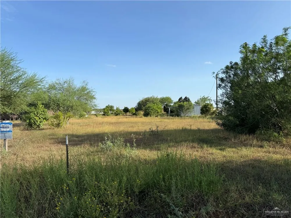 9009 Vista Ridge Drive Edcouch, TX 78538