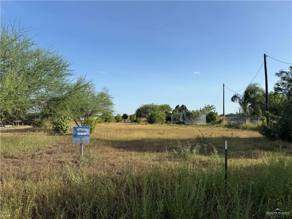9009 Vista Ridge Drive Edcouch, TX 78538