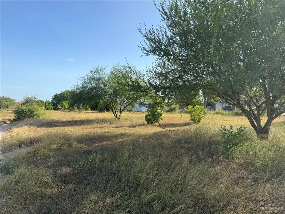 9009 Vista Ridge Drive Edcouch, TX 78538