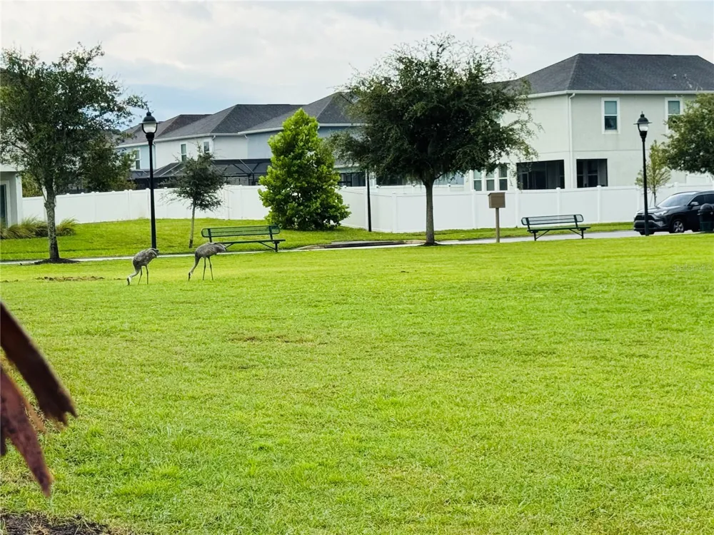 2921 SENTENCE STREET Kissimmee, FL 34746
