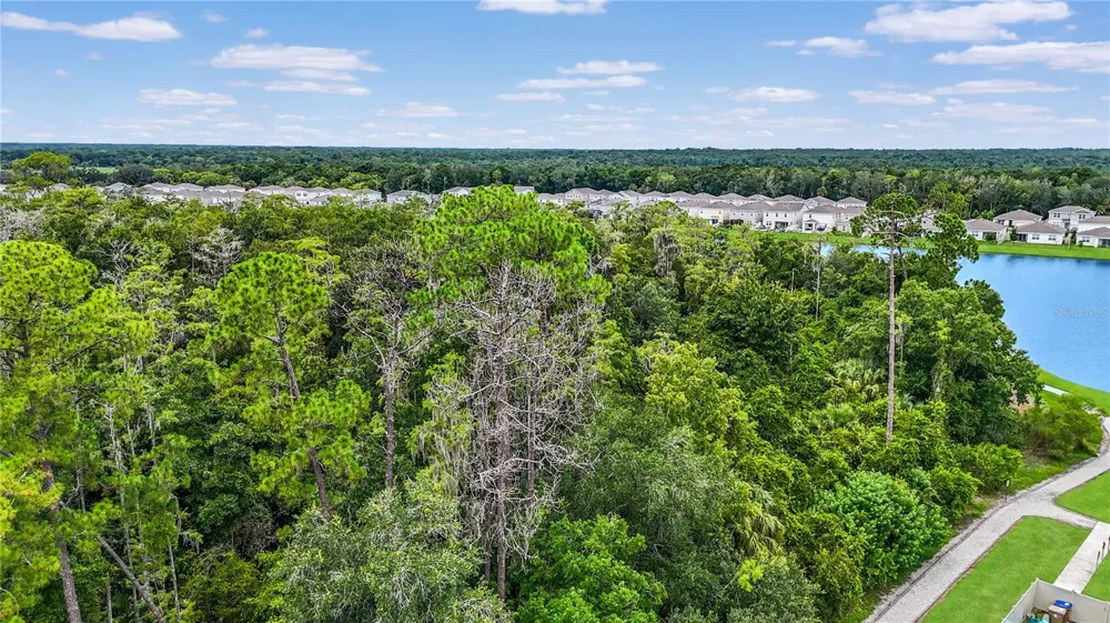 5012 BLUE HAMMOCK COURT Kissimmee, FL 34746