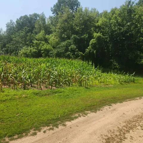 xxx 220th Ave Lot 3